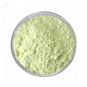 Factory supply Rutin extract powder with reasonable price