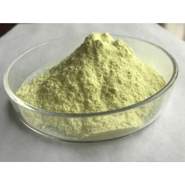 Factory supply Rutin extract powder with reasonable price