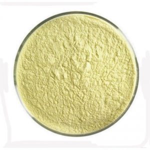 GMP Factory supply Food Additives CAS 153-18-4 Rutin with reasonable price and fast delivery on hot selling