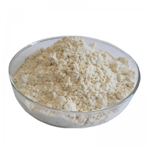 GMP Factory supply high quality CAS 9025-49-4 PROTEASE with reasonable price