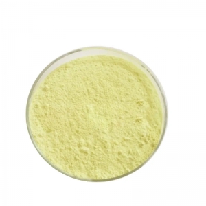 Top Quality Probiotics Powder Lactobacillus Gasseri