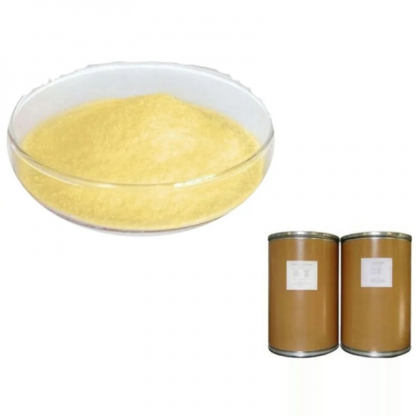 natural Panax notoginsenosides Extract uv/hplc