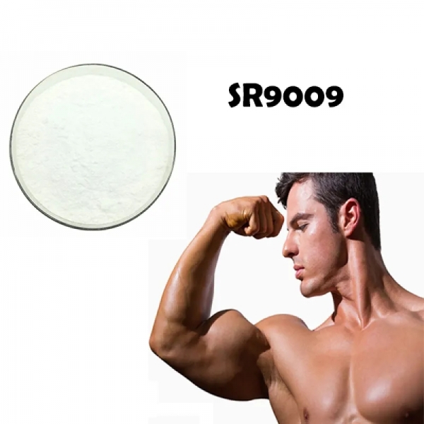 Wholesale powder SR9009 CAS 1379686-30-2 | sr 9009 | sr-9009 | Stenabolic