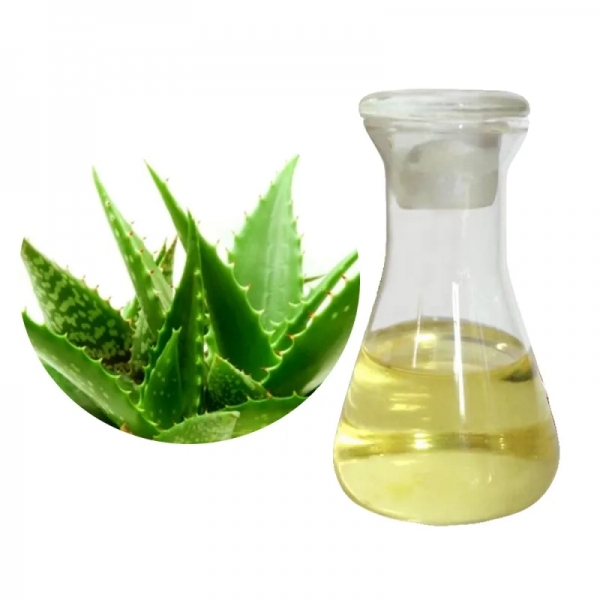 Manufacturer supply best price Aloe Vera Facial Oil