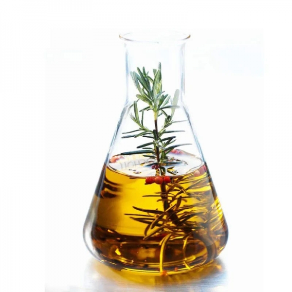100% Natural Pure Rosemary Oil With Competitive Price CAS 8000-25-7