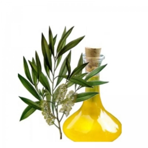 Bulk manufacturer wholesale 100% Pure Natural essential Oil Cajeput Oil price CAS 8008-98-8