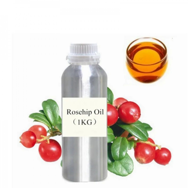 Bulk pure and natural plant seed rose hip oil with best price.