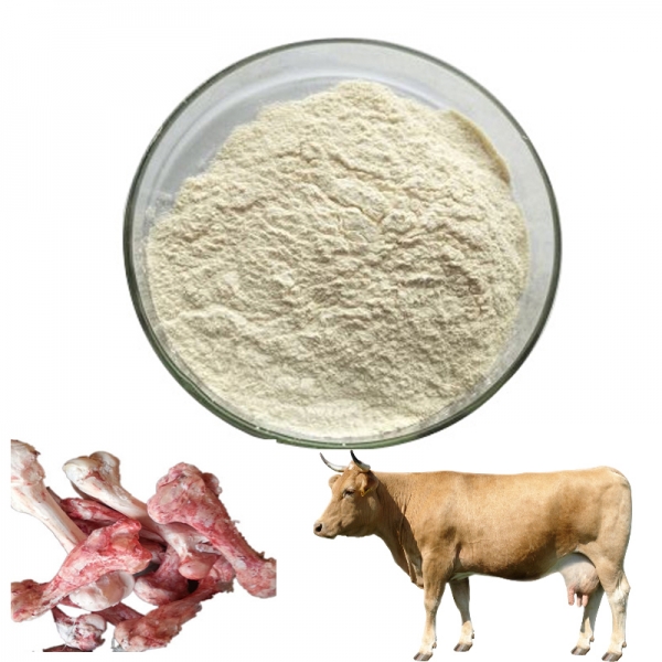 Supply high quality Chondroitin Sulfate CPC90% CAS 9007-28-7
