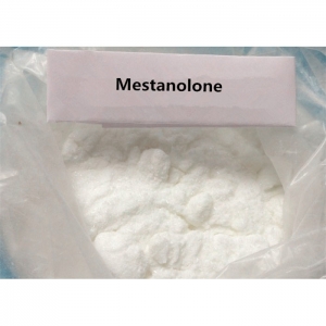99% purity Mestanolone CAS 521-11-9 Raw Steroid Powders For Bodybuilding