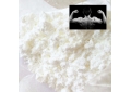Does whey protein powder contain steroids?