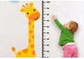 What are the main clinical manifestations of growth hormone deficiency?