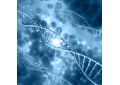 Two new indications for growth hormone have been approved and star products have been added quickly.
