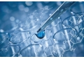 Difference and relationship between protein and polypeptide