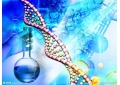 What are peptides?