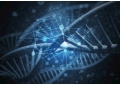 What is a polypeptide? What are the benefits to the human body?