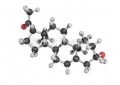 Steroid hormone action mechanism